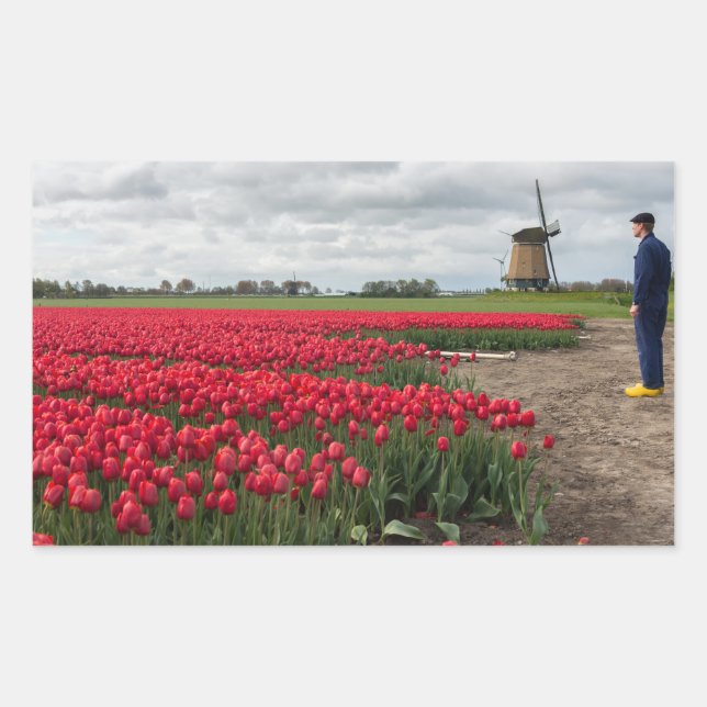 Farmer inspecting his tulips and windmill sticker (Front)