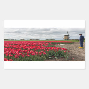 Farmer inspecting his tulips and windmill sticker