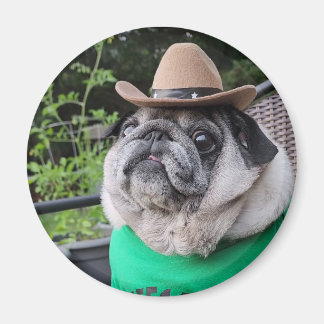 Farmer Pickles Magnet