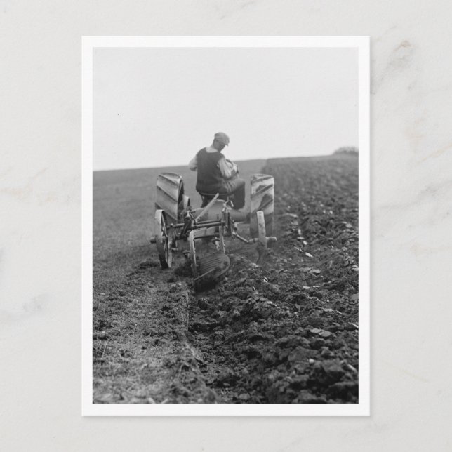 Farmer Plowing With A Tractor Postcard (Front)