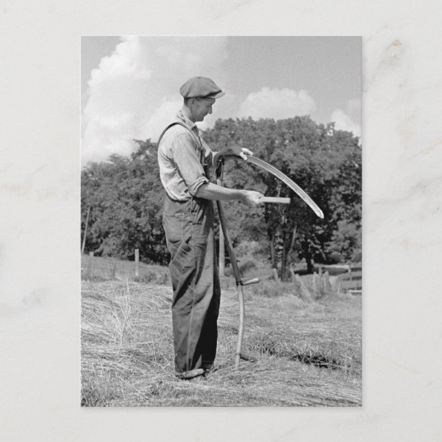 Farmer Sharpening a Scythe, 1930s Postcard (Front)