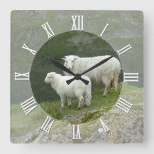 Farmers Clock, Scottish Sheep, Mountains, Scotland Square Wall Clock