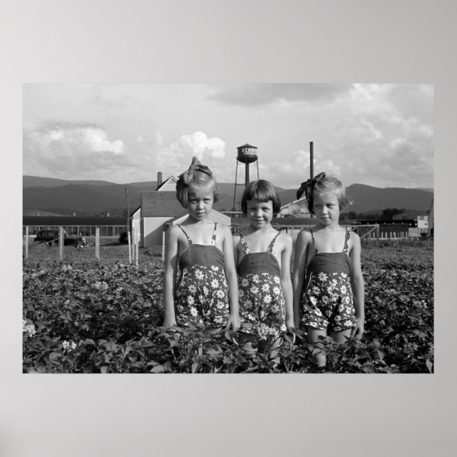 Farmer's Daughters, 1939 Poster (Front)