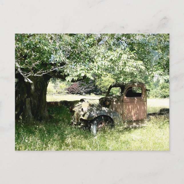 Farmer's Junky Truck Rusting Away Postcard (Front)