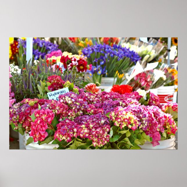 Farmer's Market Flower Stall Poster (Front)