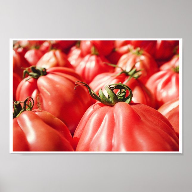 Farmer's Market Red Tomato Photography Kitchen Poster (Front)