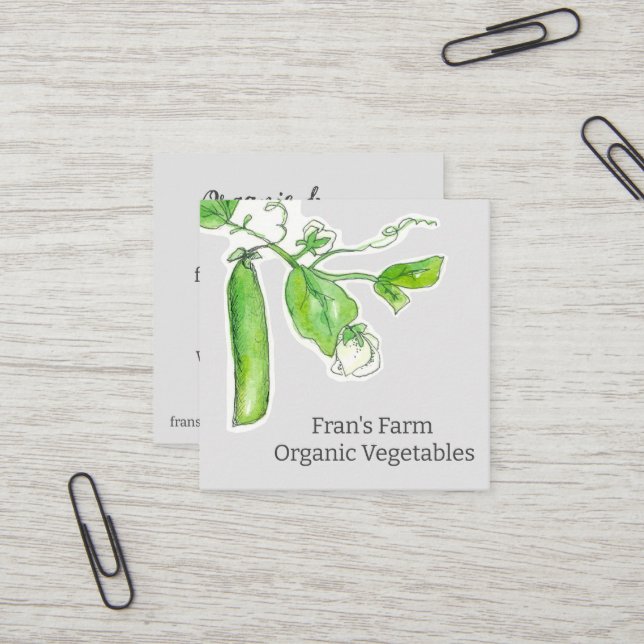 Farmers Market Vegetables Green Peas  Square Business Card (Front/Back In Situ)