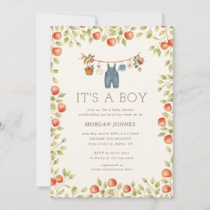 Farmhouse Baby Clothesline Baby Shower Invitation