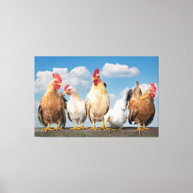 Farmhouse Chickens on a Cloudy Summer Day Canvas P (Front)