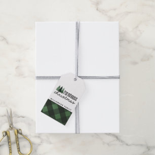 Farmhouse Christmas Green Plaid Family Name   Gift Tags