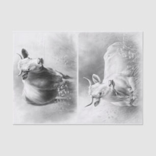 Farmhouse Cows  Tissue Paper