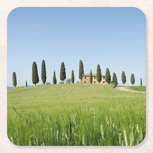 Farmhouse in Tuscany with cypresses coaster (Front)