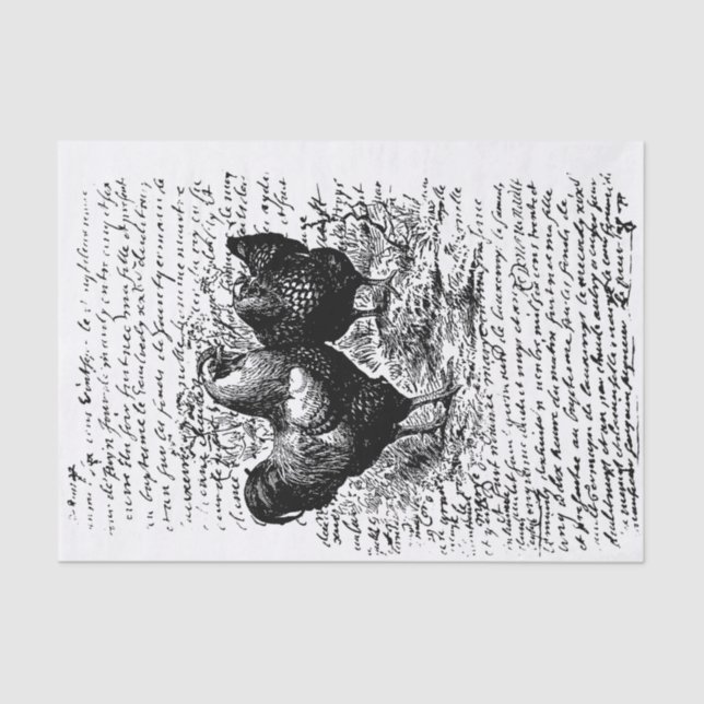 Farmhouse Rooster Vintage decoupage Tissue Paper (Front)