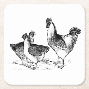 Farmhouse rustic chicken animals kitchen square paper coaster