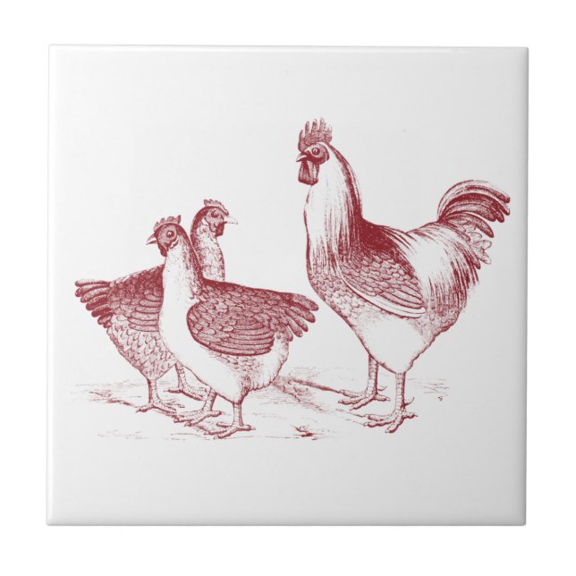 Farmhouse rustic chicken animals kitchen tile (Front)