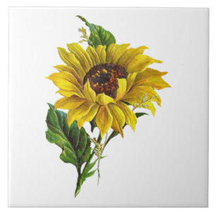 Farmhouse Sunflower Vintage Botanical Tile