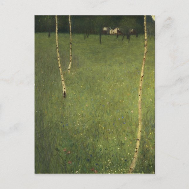 Farmhouse with Birch Trees, 1900 Postcard (Front)