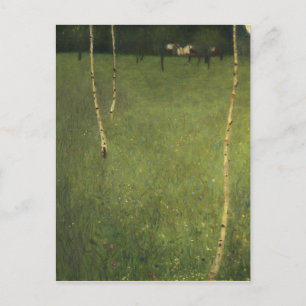 Farmhouse with Birch Trees, 1900 Postcard