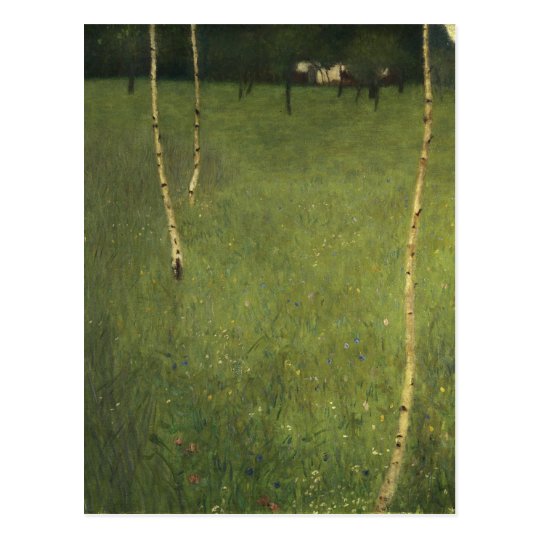 Farmhouse with Birch Trees, 1900 Postcard