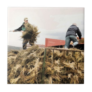 FARMING TILE