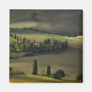 Farmland around Montepulciano, Tuscany, Italy Magnet