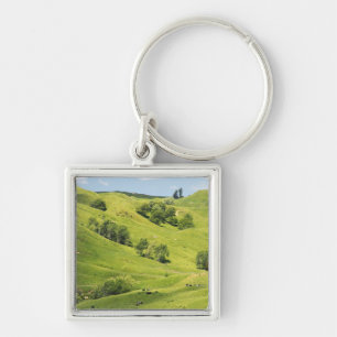 Farmland near Gisborne, New Zealand Keychain