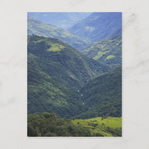 Farmlands and Himalaya forest in Mangdue valley Postcard