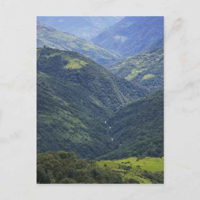 Farmlands and Himalaya forest in Mangdue valley Postcard (Front)