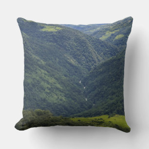 Farmlands and Himalaya forest in Mangdue valley Throw Pillow