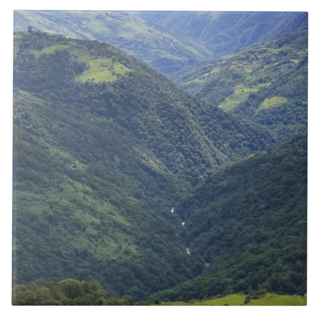 Farmlands and Himalaya forest in Mangdue valley Tile (Front)