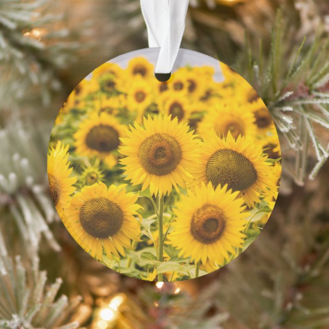 Farms | A Sunflower (Arbre)