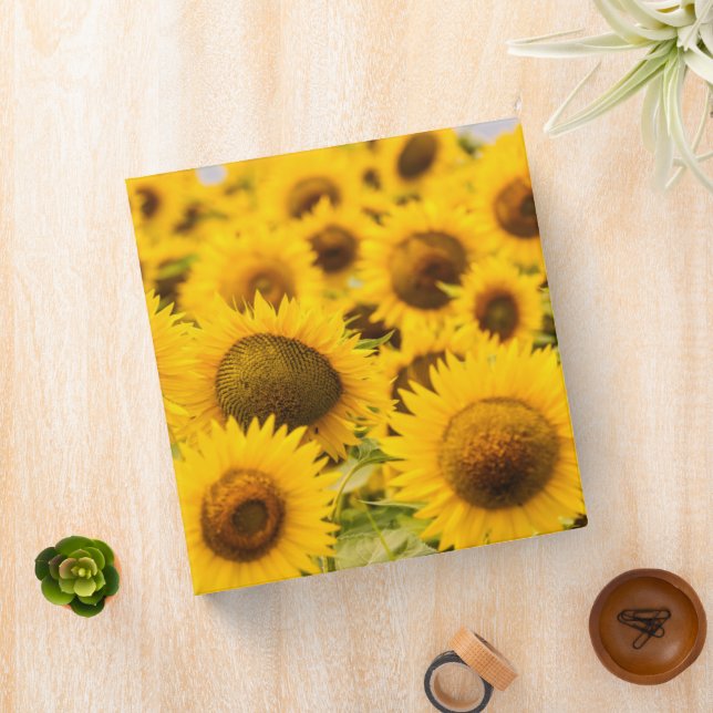 Farms | A Sunflower Field Binder (In Situ)