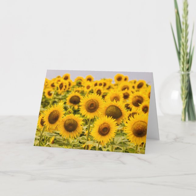 Farms | A Sunflower Field Card (Front)