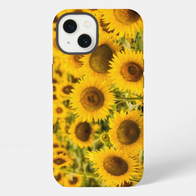Farms | A Sunflower Field iPhone Case (Back)