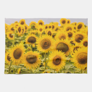 Farms   A Sunflower Field Kitchen Towel