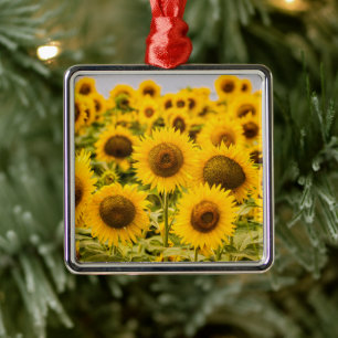 Farms A Sunflower Field Metal Ornament