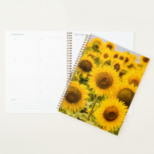 Farms A Sunflower Field Planner