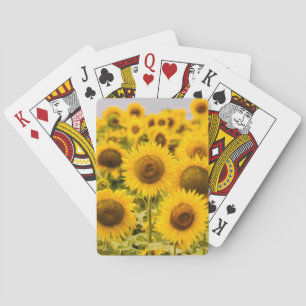 Farms A Sunflower Field Playing Cards