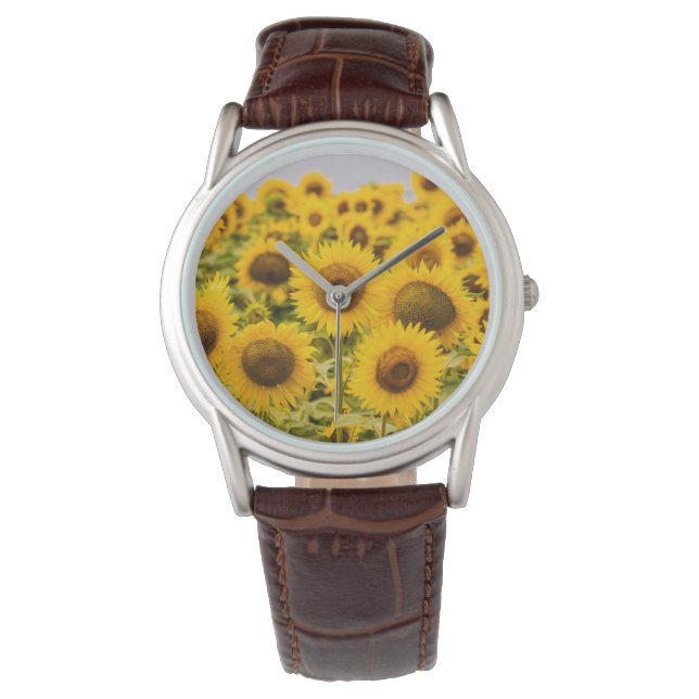 Farms | A Sunflower Field Watch (Front)