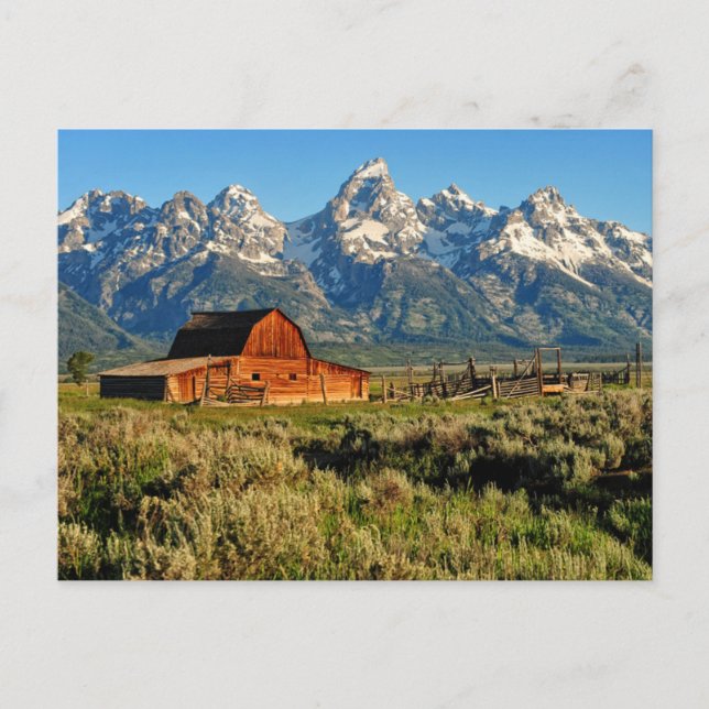 Farms | Barn Shadowed by Snow Capped Mountains Postcard (Front)
