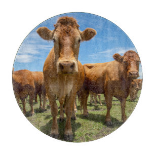 Farms Brown Cow Group Cutting Board