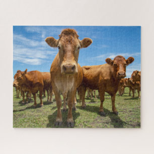 Farms   Brown Cow Group Jigsaw Puzzle