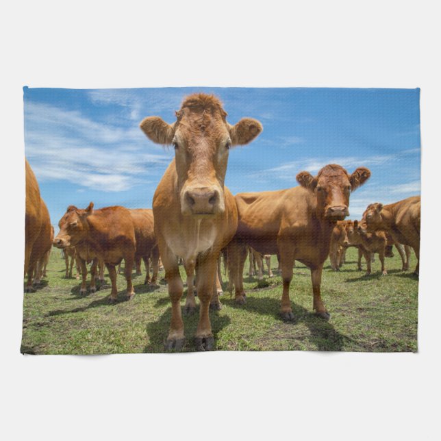 Farms | Brown Cow Group Kitchen Towel (Horizontal)