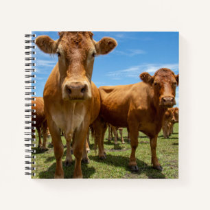 Farms Brown Cow Group Notebook