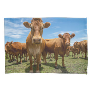 Farms   Brown Cow Group Pillowcase