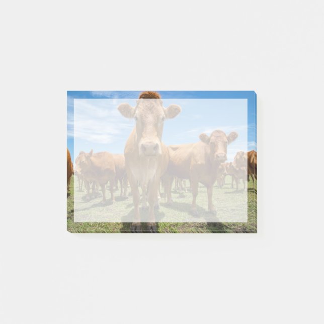 Farms | Brown Cow Group Post-it Notes (Front)