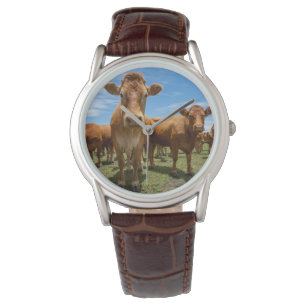 Farms   Brown Cow Group Watch