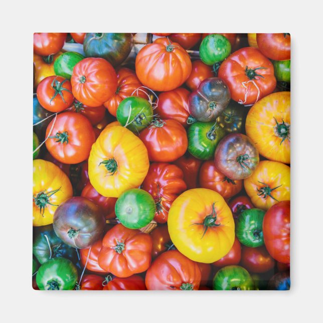 Farms | Colourful Tomato Harvest Magnet (Front)