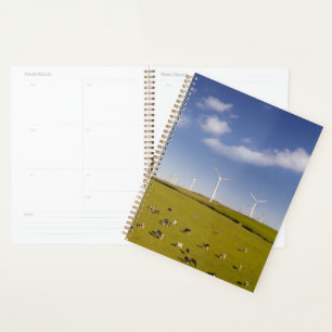 Farms   Cows Near Windmill Farm Planner