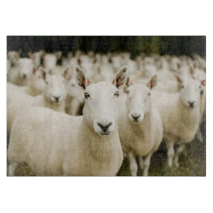 Farms   Herd of Sheep Cutting Board